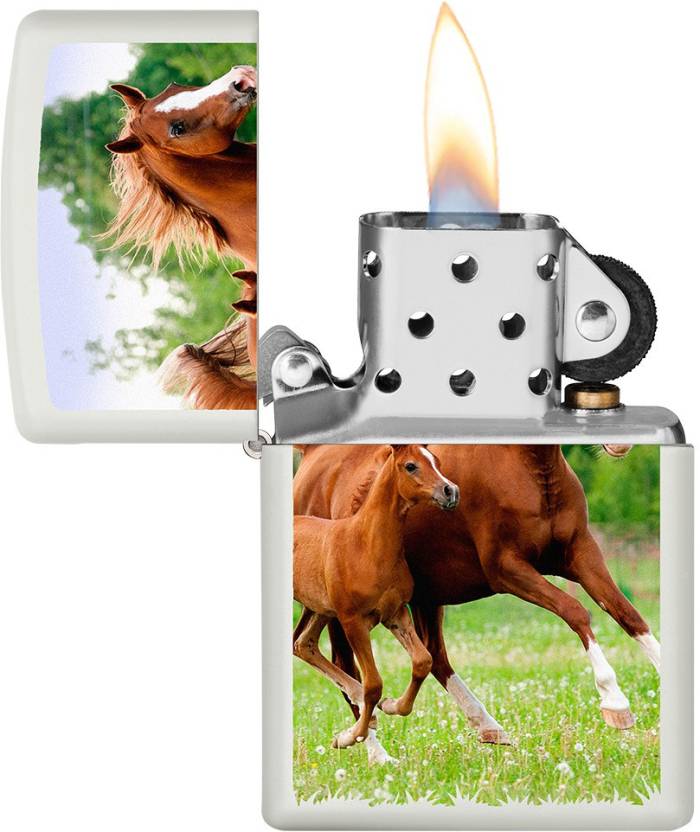 Zippo Mare and Foal Running Zippo