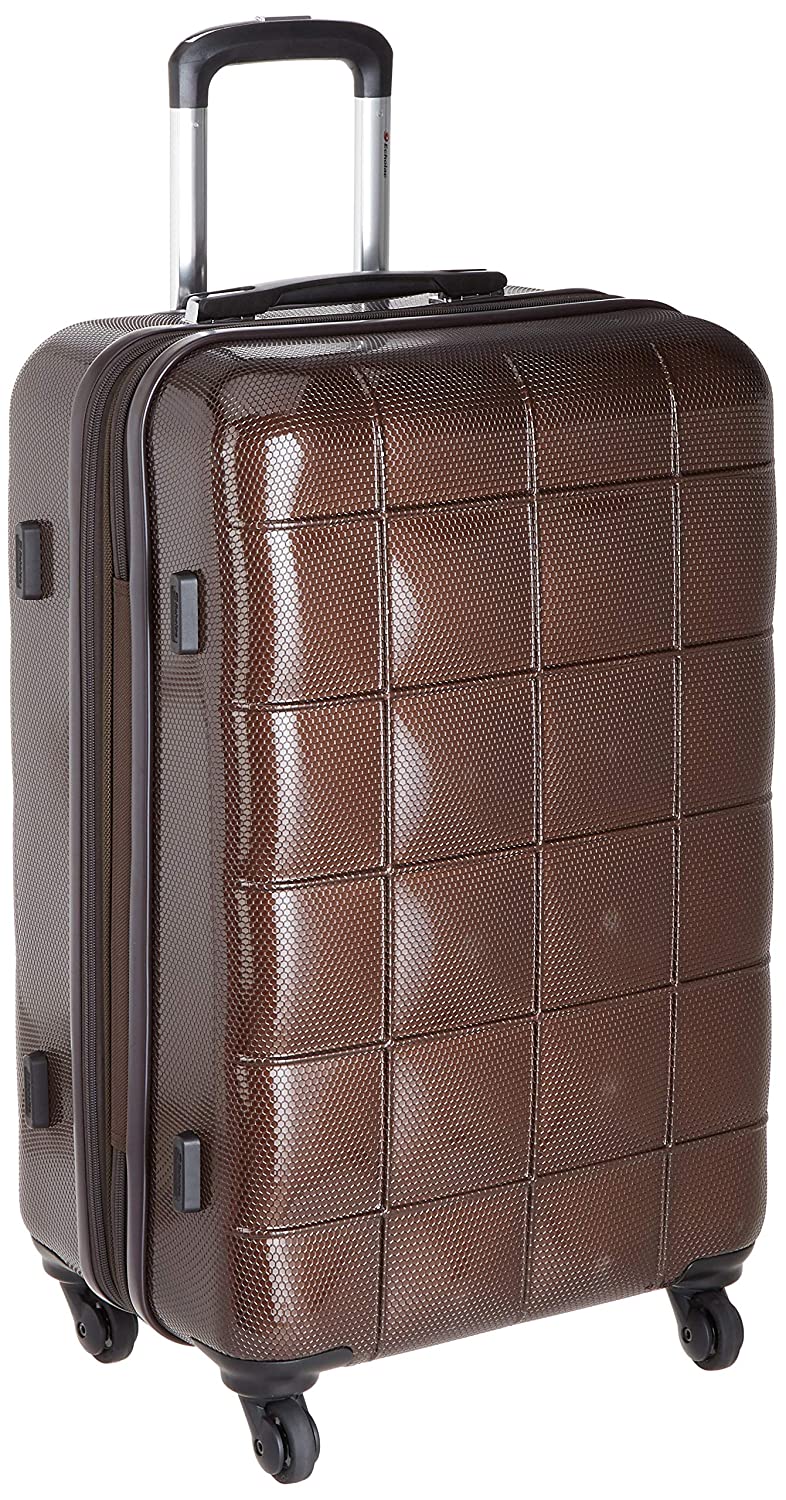 Echolac Square Medium Brown Black Soft Sided Cabin Suitcase Trolley 66cm (PC005) Echolac New