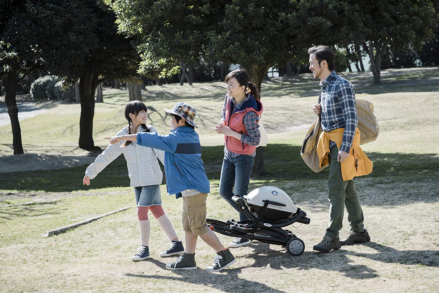 Weber - Q - Gas Grill Q 1200 WEBER